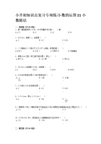 小升初知识点复习专项练习-数的运算21小数除法-通用版9页