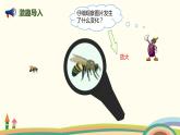 人教版小学数学六年级下册 4.3.4《图形的放大与缩小》PPT课件