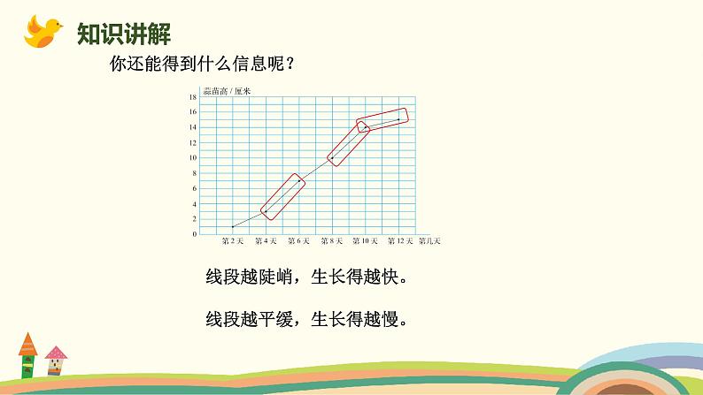 北师版小学数学四年级下册 6.4《栽蒜苗（二）》PPT课件07