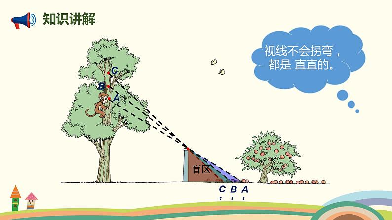 北师大版数学六年级上册 3.2 《 观察的范围》PPT课件05