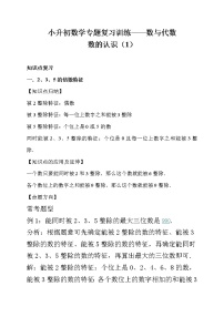 小升初数学专题复习训练—数与代数：数的认识（1）（知识点总结+同步测试）