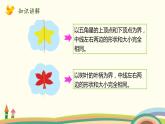 北师大版数学二年级上册 4.1《折一折，做一做》PPT课件