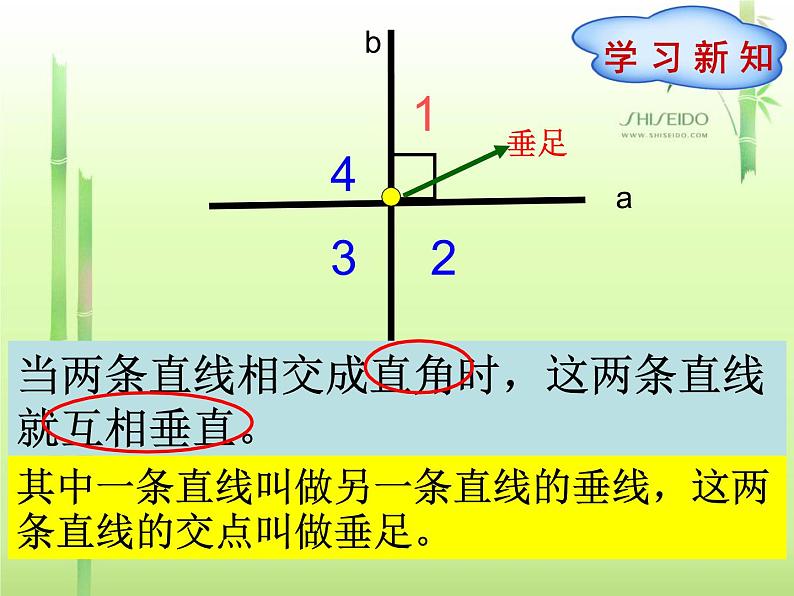 公开课  《相交与垂直》课件第8页