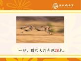 公开课   一分有多长