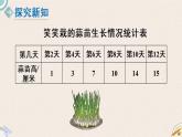 北師版數(shù)學(xué)四年級下冊 6.3《栽蒜苗（二）》PPT課件