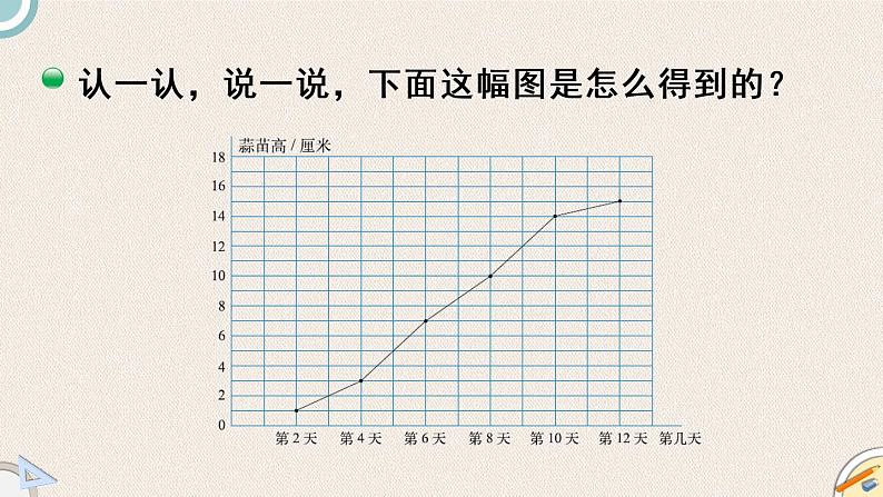 北师版数学四年级下册 6.3《栽蒜苗（二）》PPT课件04