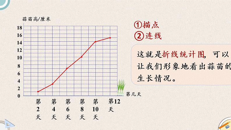 北师版数学四年级下册 6.3《栽蒜苗（二）》PPT课件05