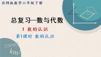 数学北师大版数与代数复习ppt课件