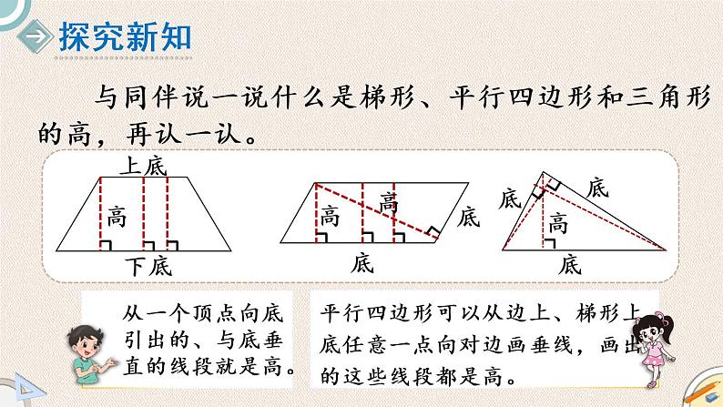 北师版数学五年级上册 4.2《认识底和高》PPT课件03