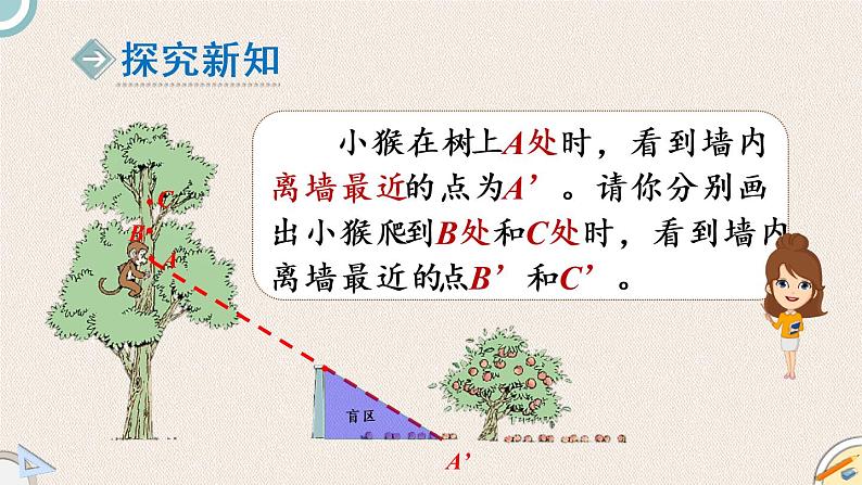 北师版数学六年级上册 3.2《观察的范围》PPT课件02