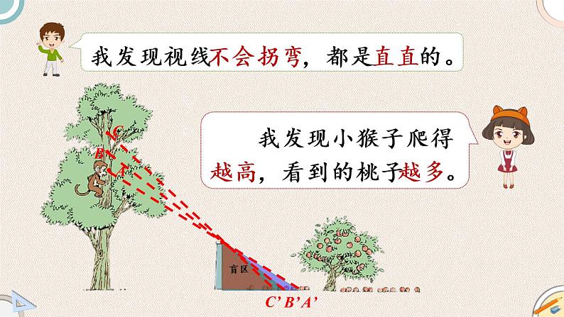 北师版数学六年级上册 3.2《观察的范围》PPT课件05