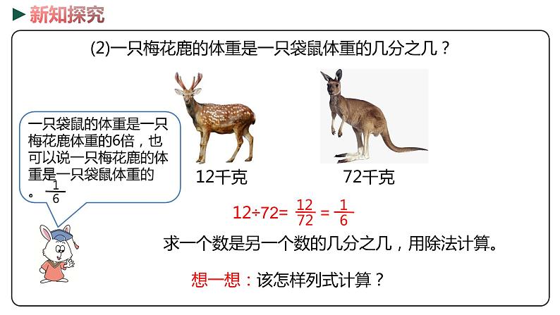 冀教版数学四年级下册 5.9《两数关系问题》PPT课件05