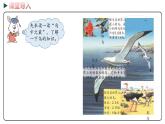 冀教版數(shù)學(xué)四年級(jí)下冊(cè) 6.1《小數(shù)的意義》PPT課件
