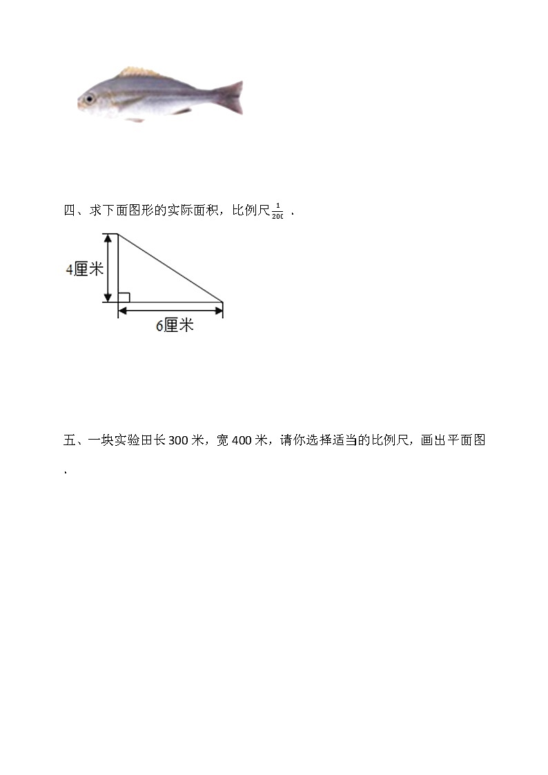 人教版六年级数学下册 4.3.1《比例尺》同步练习（含答案解析）第2页