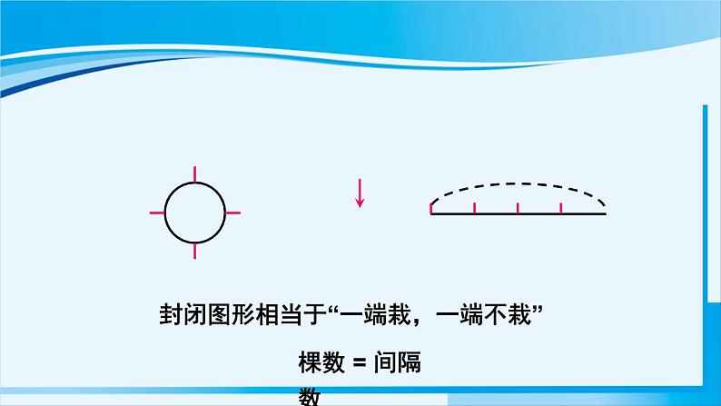 人教版五年级数学上册 7数学广角 植树问题 第3课时 植树问题（3）07