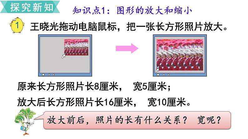 小学数学苏教版六年级下册第4单元第1课时 图形的放大与缩小 PPT课件03