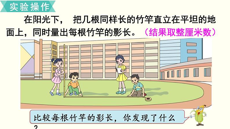 小学数学苏教版六年级下册第6单元综合与实践   大树有多高 PPT课件04