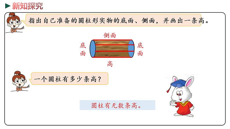 冀教版数学六年级下册 4.1《圆柱和圆柱的侧面积》PPT课件07