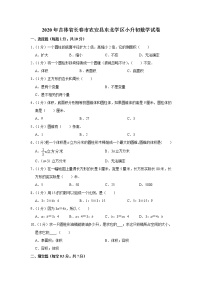 六年级下册数学试卷 2020年吉林省长春市农安县东北学区小升初数学试卷 人教版