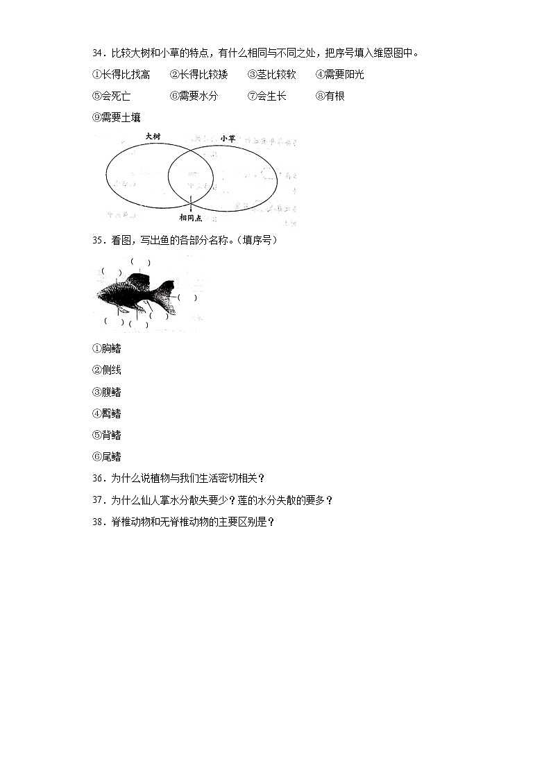 2020-2021学年河北省衡水市冀人版三年级下册期中质量考试科学试卷（word版 含答案）03