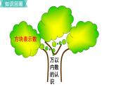 小學(xué)數(shù)學(xué)蘇教版二年級(jí)下冊(cè)第9單元    第1課時(shí) 認(rèn)識(shí)萬以內(nèi)的數(shù) PPT課件