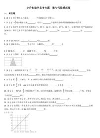 小升初数学专题  数与代数提高卷