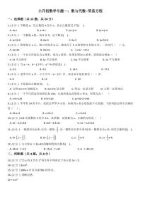 小升初数学专题1：数与代数