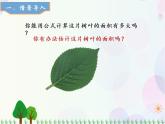 人教版数学五年级上册  第6单元 多边形的面积 第5课时 组合图形的面积（2） 精品课件