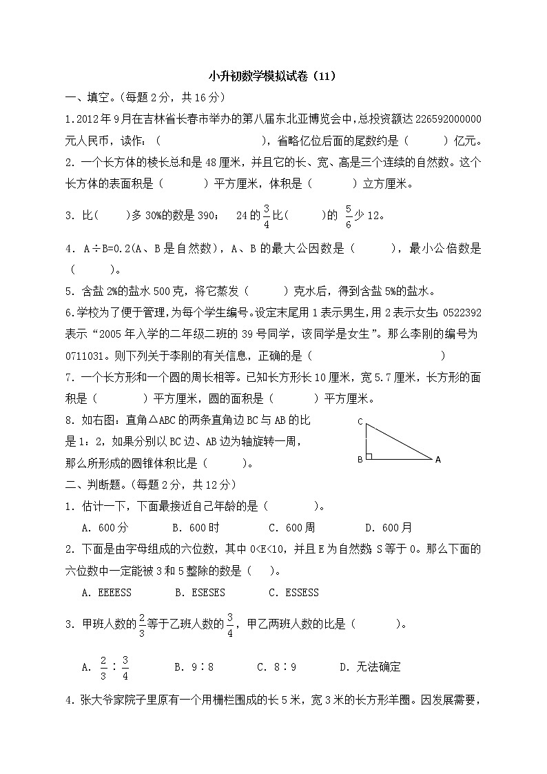 2021年小升初数学模拟试卷（11） 全国通用（含答案）01