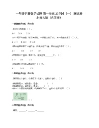 小学数学北师大版一年级下册一 加与减（一）综合与测试精品复习练习题