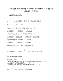 小学数学苏教版六年级下册六 正比例和反比例精品同步达标检测题