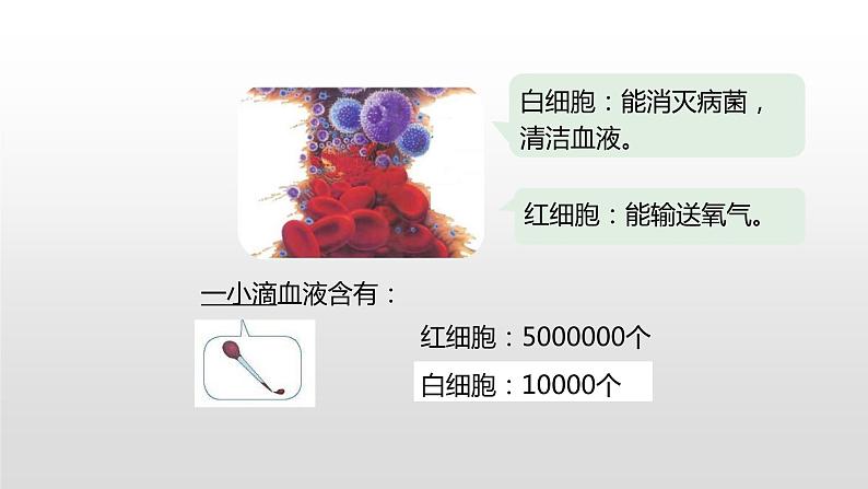 人教版小学数学四年级上册 《亿以内数的认识》课时5课件PPT04