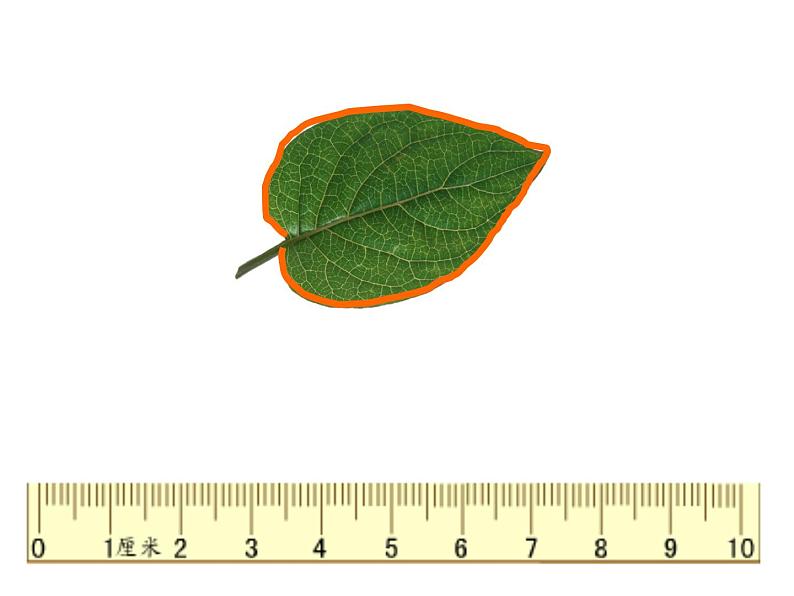 人教版三年级数学上册《认识周长》PPT课件第2页