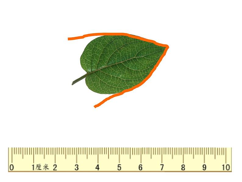 人教版三年级数学上册《认识周长》PPT课件第3页