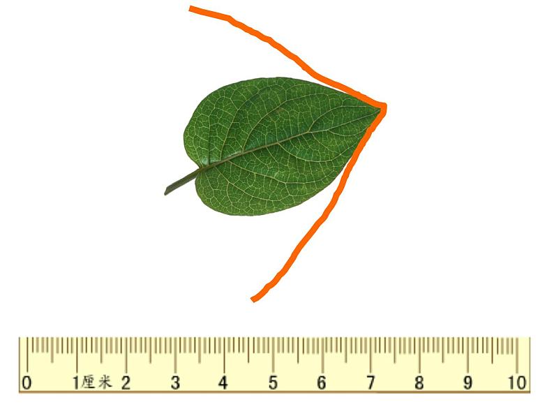 人教版三年级数学上册《认识周长》PPT课件第4页