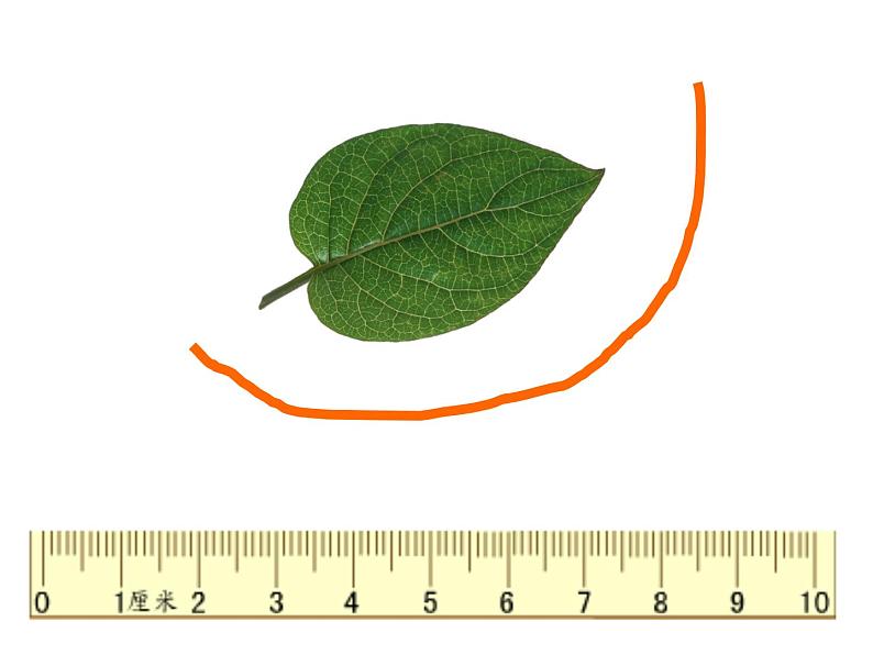 人教版三年级数学上册《认识周长》PPT课件第5页