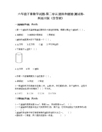 小学数学苏教版六年级下册二 圆柱和圆锥同步训练题