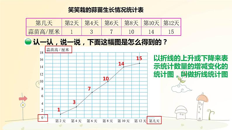 4年级下册--第6单元--第3课时--栽蒜苗（2） 课件PPT04