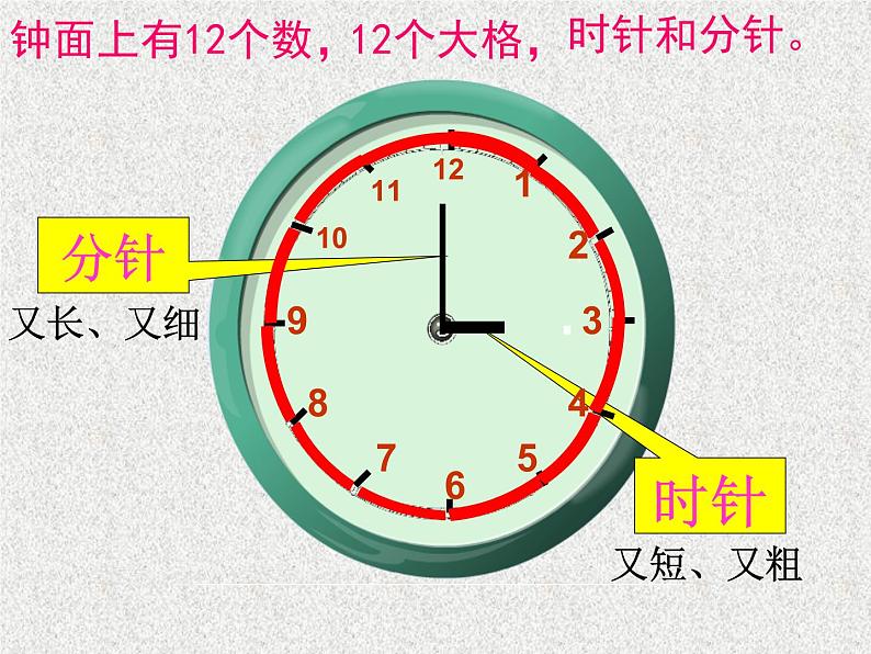 一年级上册数学课件-第二单元17、学看钟表 课件-浙教版第4页