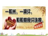 西師大版數(shù)學四年級上冊  7.17 《《節(jié)約1粒米》PPT課件+課時練