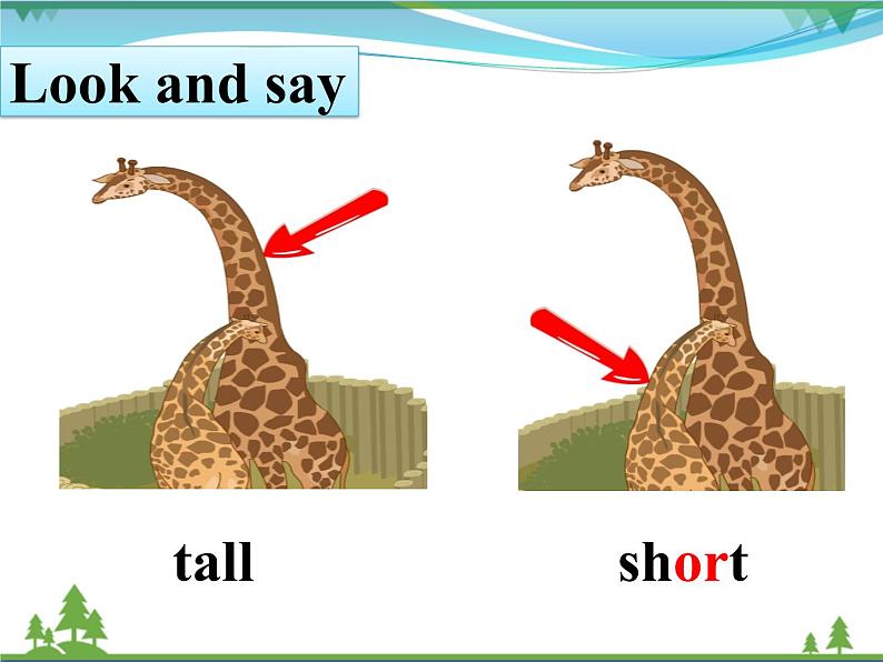 人教版(PEP)英语三下同步  Unit 3 At the zoo PB start to read( 课件+教案+习题+素材)04