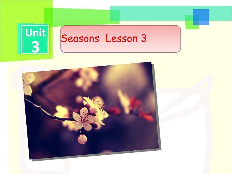 人教新起点二年级英语下册Unit 3 Lesson 3课件01