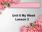 人教新起点二年级英语下册Unit 6 Lesson2课件