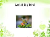 北师大版（一起）三年级英语下册Unit 8 Big bird! 课件1
