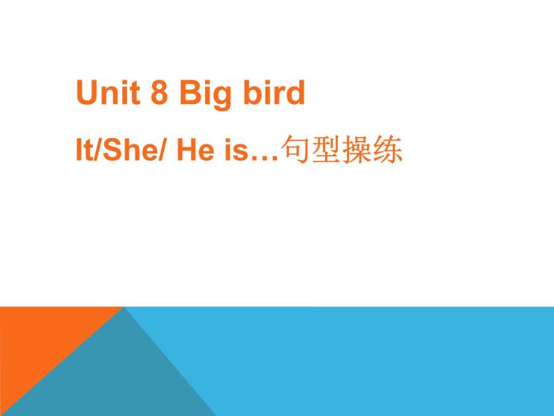 北师大版（一起）三年级英语下册Unit 8 Big bird---It (She or He) is...句型操练01