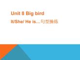 北师大版（一起）三年级英语下册Unit 8 Big bird---It (She or He) is...句型操练