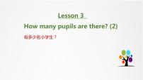 小学英语Lesson 3 How many pupils are there?教案配套ppt课件