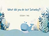 科普版六年級下冊lesson4 what did you do las tsaturday第2課時(shí)課件PPT