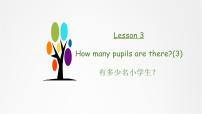 2020-2021学年Lesson 3 How many pupils are there?教课内容ppt课件