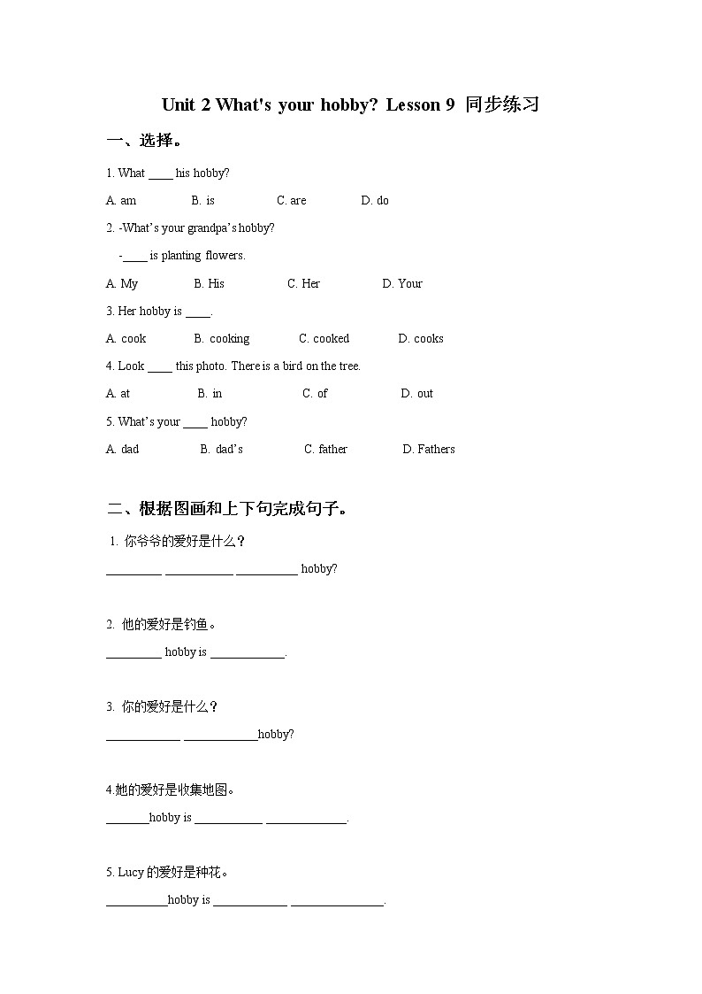 小学英语人教精通版六年级上册Unit 2 What’s your hobby Lesson 9 同步教案 课件 练习01